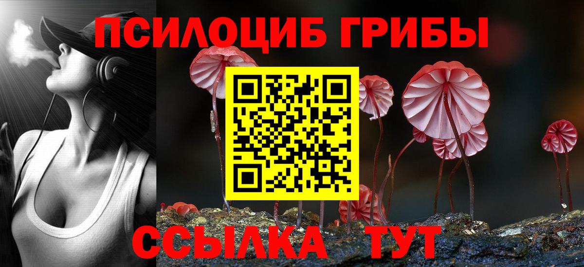 Борзя  Псилоцибиновые грибы ЛСД  Псилоцибиновые грибы мухоморы  Вход с VPN 